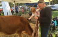 Fun at Maleny show