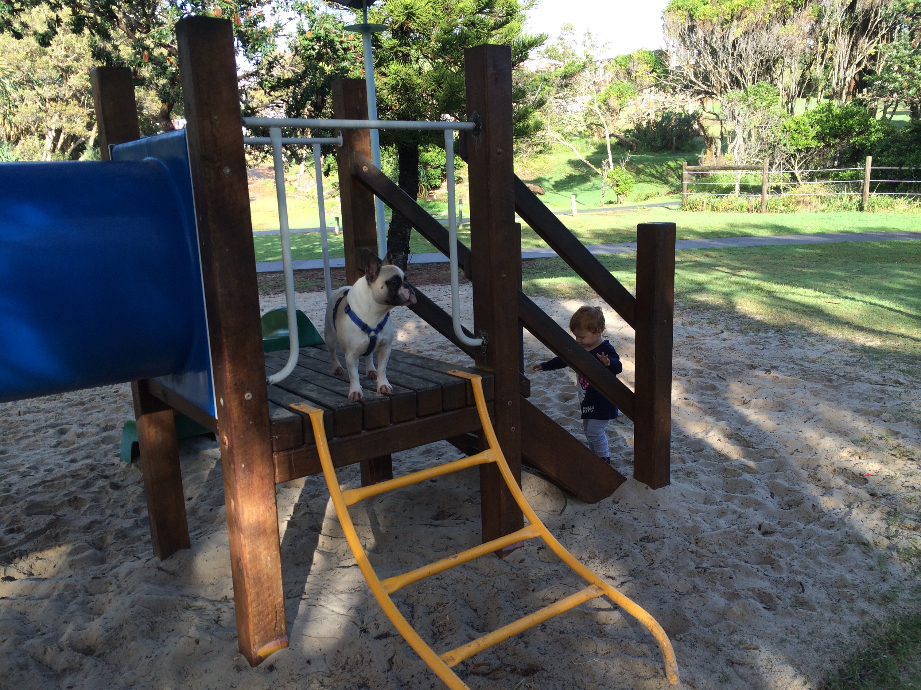 Pablo on the playground too and Sofia’s still got a bad cough